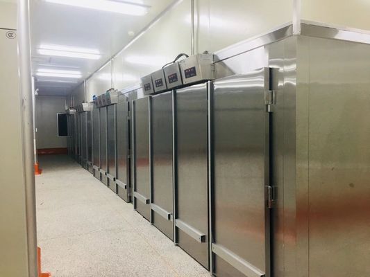 Yasur YST-1R2 Roll In Type Dough Final Proofer Fermenter ห้องคู่ชั้นวาง 40X60 ซม. ถาด 220V 2KW